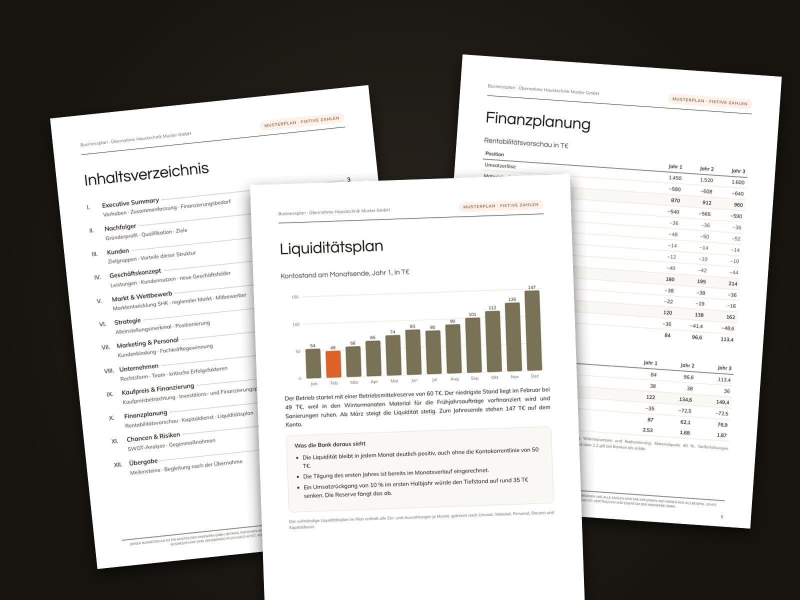 Seiten aus dem Innowerk-Musterplan: Inhaltsverzeichnis, Liquiditätsplan und Finanzplanung